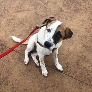 Meet your Posher, Corey